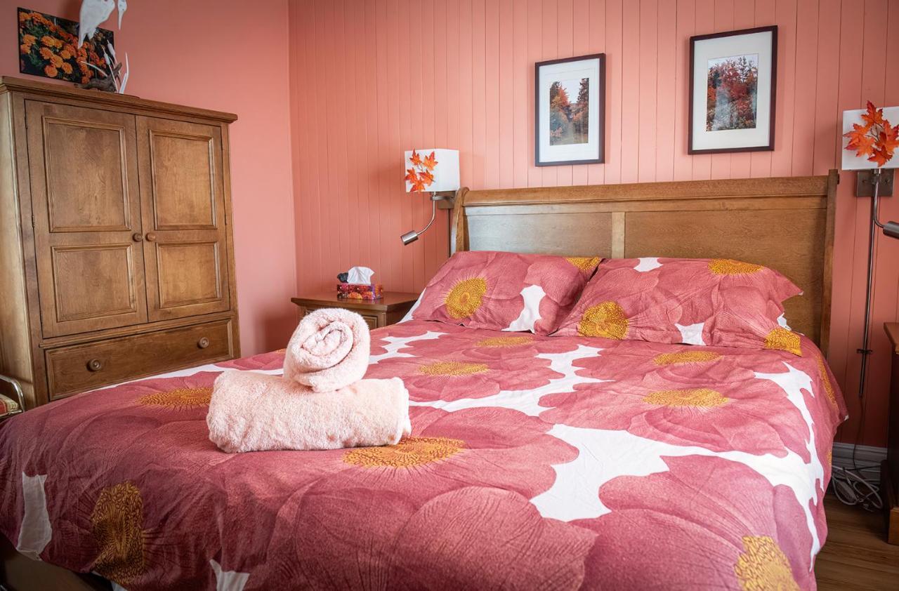 Bed and Breakfast Bed & Cafe Petit Papillon Гранд-Бержерон Экстерьер фото